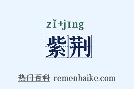紫荆是什么意思的图片